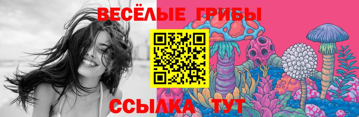 Псилоцибиновые грибы мицелий Тольятти