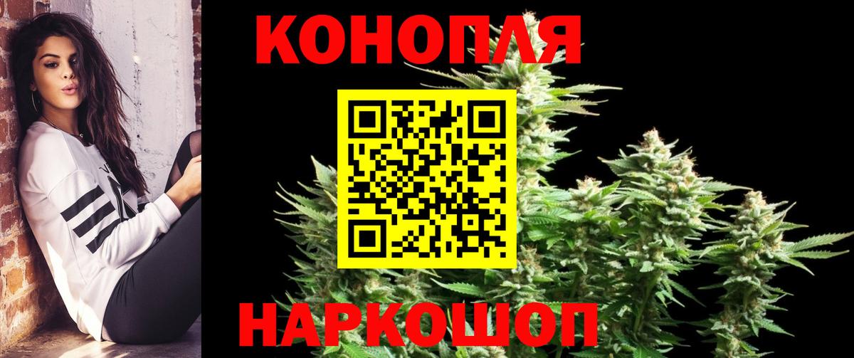 Каннабис план Тольятти